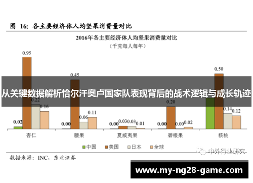从关键数据解析恰尔汗奥卢国家队表现背后的战术逻辑与成长轨迹